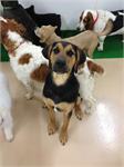Daycare pic - Triton
